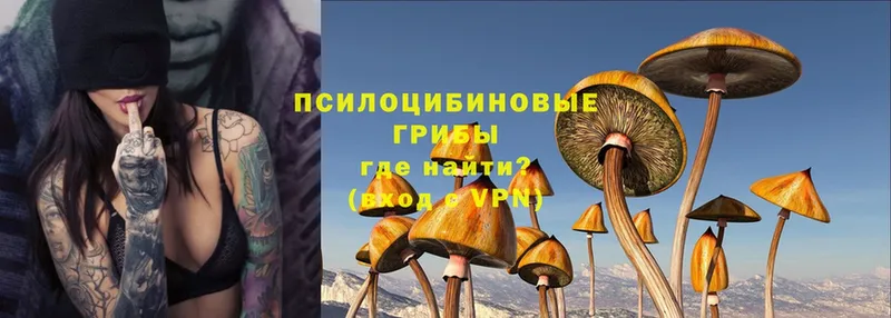 Галлюциногенные грибы Magic Shrooms  Муравленко 